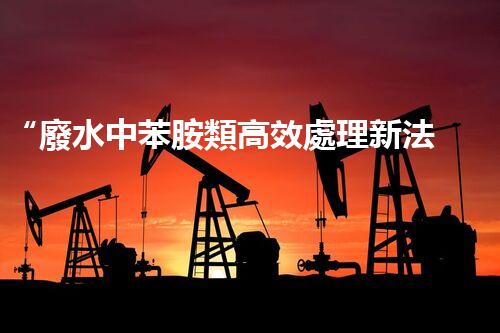 “廢水中苯胺類高效處理新法，環(huán)保先鋒引領(lǐng)綠色以后”